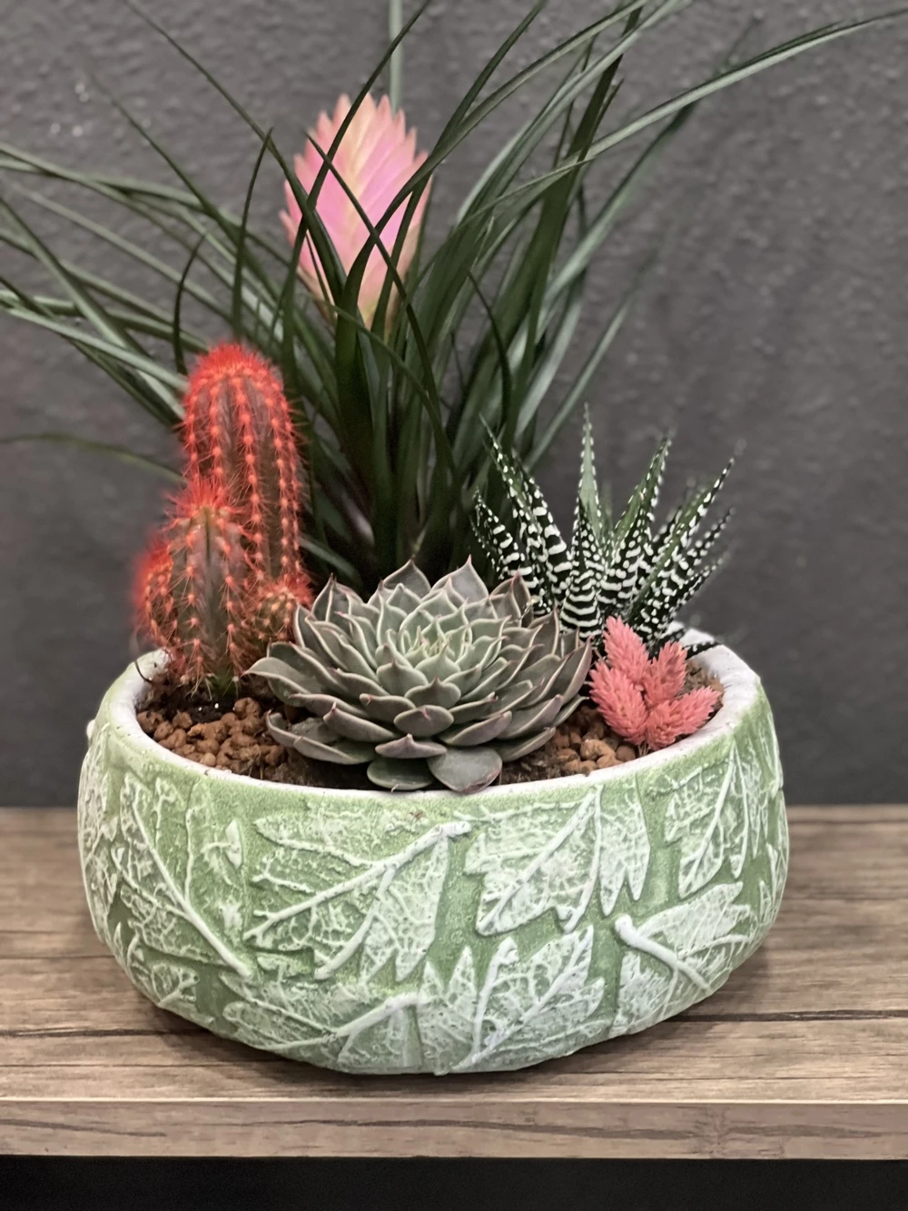 Vip Sukulent Aranjman